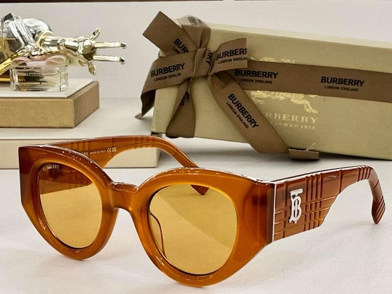 Burberry Sunglasses 296